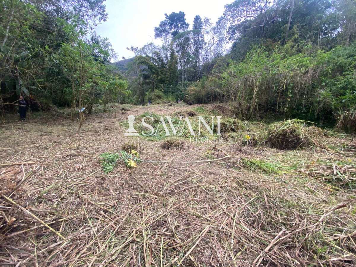  - Lote à venda em Teresópolis, Albuquerque, 2500m²